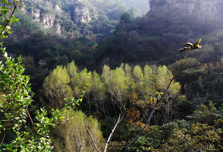 武安长寿村,朝阳沟二日游